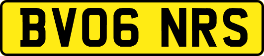 BV06NRS