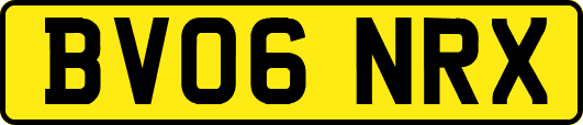 BV06NRX