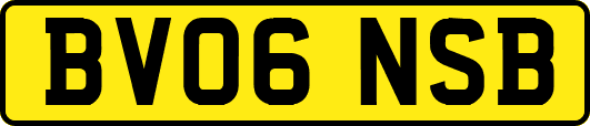 BV06NSB
