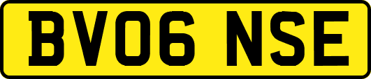 BV06NSE