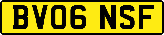BV06NSF