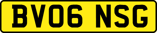 BV06NSG