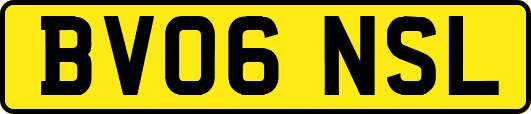 BV06NSL