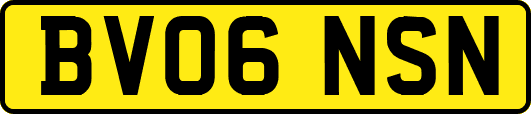 BV06NSN