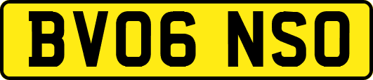 BV06NSO