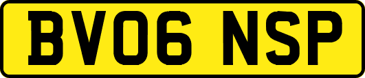 BV06NSP