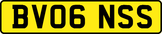 BV06NSS