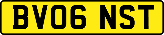 BV06NST