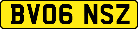 BV06NSZ
