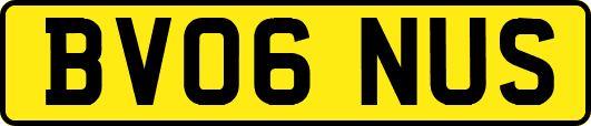 BV06NUS