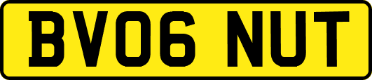 BV06NUT