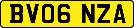 BV06NZA