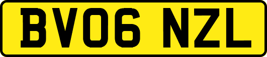 BV06NZL