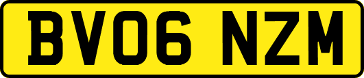 BV06NZM