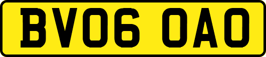 BV06OAO