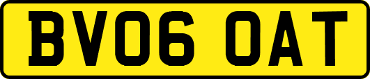 BV06OAT