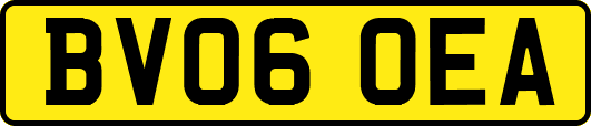 BV06OEA