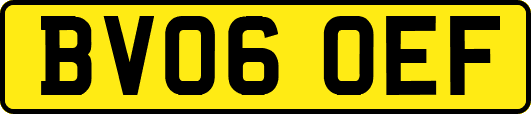 BV06OEF