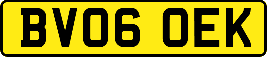 BV06OEK