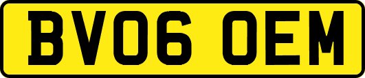 BV06OEM