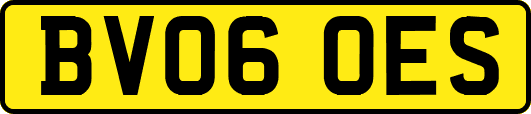 BV06OES