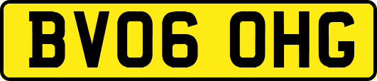 BV06OHG