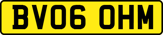 BV06OHM