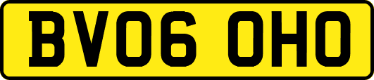 BV06OHO