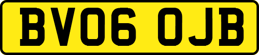 BV06OJB