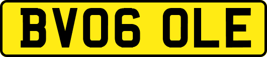 BV06OLE