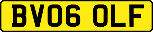BV06OLF