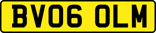 BV06OLM