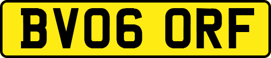BV06ORF