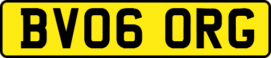 BV06ORG