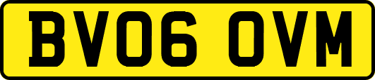 BV06OVM