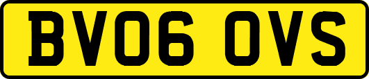 BV06OVS