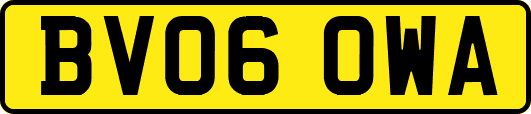 BV06OWA