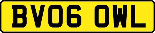 BV06OWL