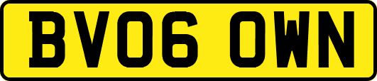 BV06OWN