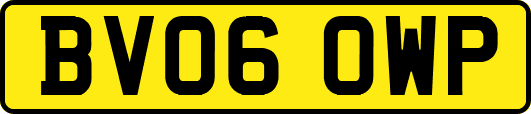BV06OWP