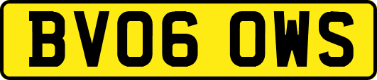 BV06OWS