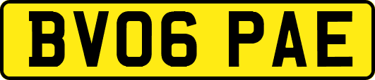 BV06PAE