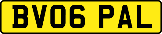 BV06PAL