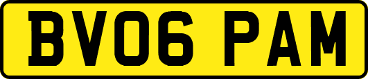 BV06PAM