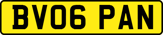 BV06PAN