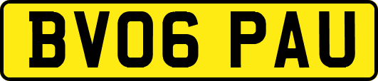 BV06PAU