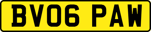 BV06PAW