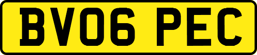 BV06PEC