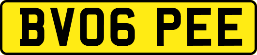 BV06PEE