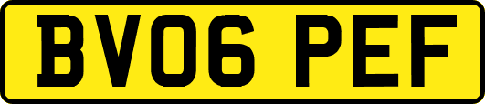 BV06PEF